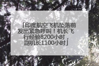 印度航空飞机坠落前发出紧急呼叫！机长飞行经验8200小时，副机长1100小时