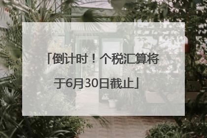 倒计时！个税汇算将于6月30日截止