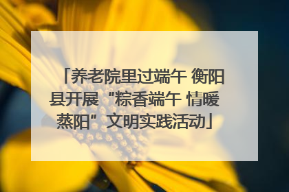 养老院里过端午 衡阳县开展“粽香端午 情暖蒸阳”文明实践活动