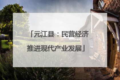元江县：民营经济推进现代产业发展