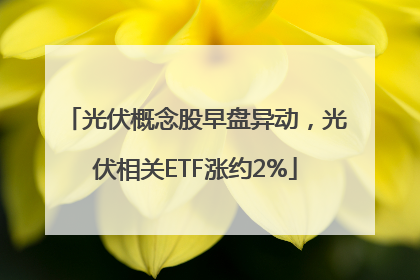 光伏概念股早盘异动，光伏相关ETF涨约2%