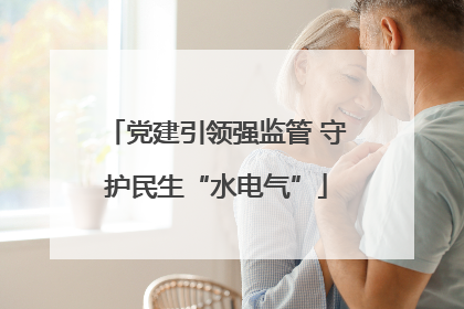 党建引领强监管 守护民生“水电气”