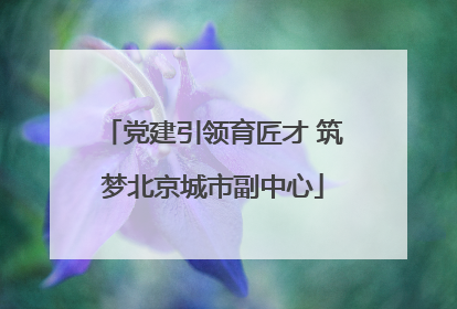 党建引领育匠才 筑梦北京城市副中心