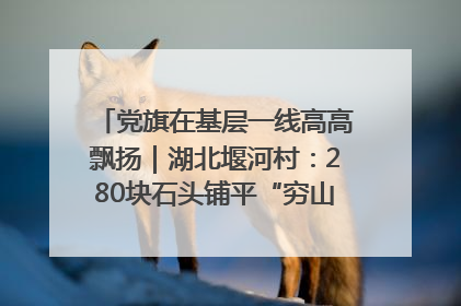 党旗在基层一线高高飘扬｜湖北堰河村：280块石头铺平“穷山沟”的致富振兴路