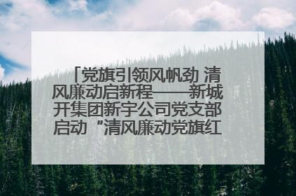 党旗引领风帆劲 清风廉动启新程——新城开集团新宇公司党支部启动“清风廉动党旗红”系列活动