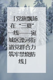 党旗飘扬在“三夏”一线——宛城区溧河街道党群合力筑牢禁烧防线