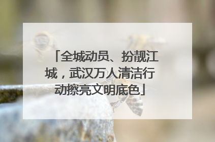 全城动员、扮靓江城，武汉万人清洁行动擦亮文明底色
