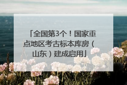 全国第3个！国家重点地区考古标本库房（山东）建成启用