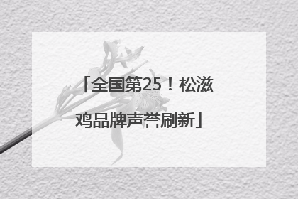 全国第25！松滋鸡品牌声誉刷新