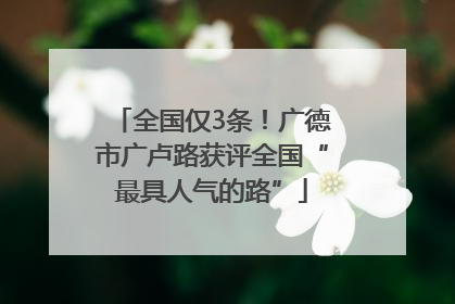 全国仅3条！广德市广卢路获评全国“最具人气的路”