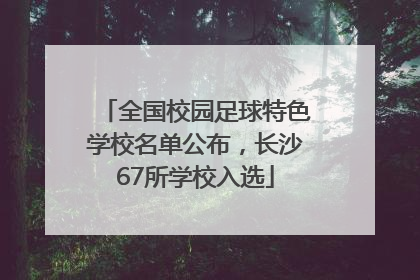 全国校园足球特色学校名单公布，长沙67所学校入选