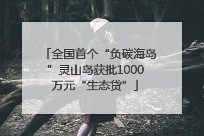 全国首个“负碳海岛”灵山岛获批1000万元“生态贷”