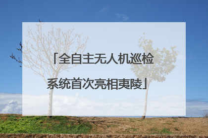 全自主无人机巡检系统首次亮相夷陵