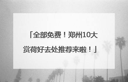 全部免费！郑州10大赏荷好去处推荐来啦！
