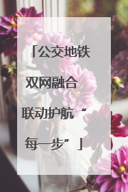 公交地铁双网融合 联动护航“每一步”