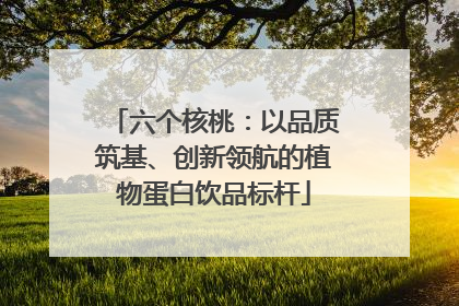 六个核桃：以品质筑基、创新领航的植物蛋白饮品标杆