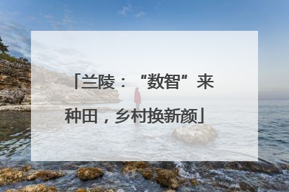 兰陵：“数智”来种田，乡村换新颜