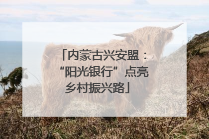 内蒙古兴安盟：“阳光银行”点亮乡村振兴路