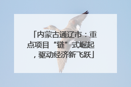 内蒙古通辽市：重点项目“链”式崛起，驱动经济新飞跃