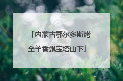 内蒙古鄂尔多斯烤全羊香飘宝塔山下