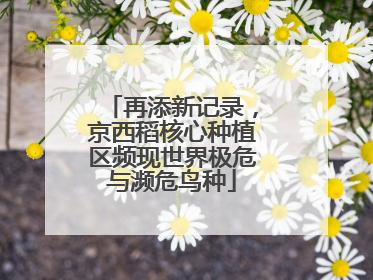 再添新记录，京西稻核心种植区频现世界极危与濒危鸟种