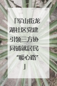 军山街龙湖社区党建引领三方协同铺就居民“暖心路”