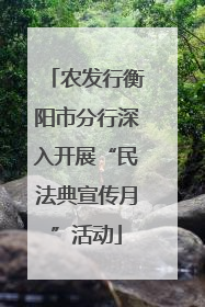 农发行衡阳市分行深入开展“民法典宣传月”活动