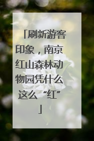 刷新游客印象，南京红山森林动物园凭什么这么“红”