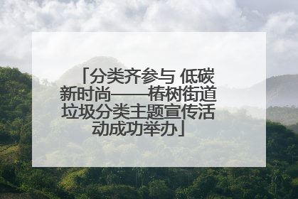 分类齐参与 低碳新时尚——椿树街道垃圾分类主题宣传活动成功举办