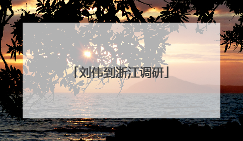 刘伟到浙江调研