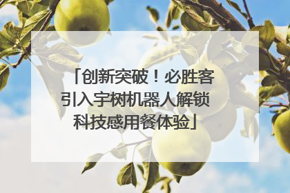 创新突破！必胜客引入宇树机器人解锁科技感用餐体验