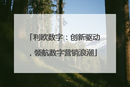 利欧数字：创新驱动，领航数字营销浪潮