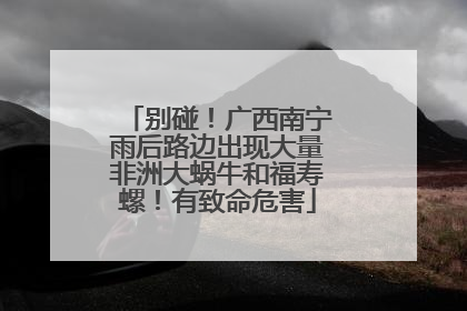 别碰！广西南宁雨后路边出现大量非洲大蜗牛和福寿螺！有致命危害