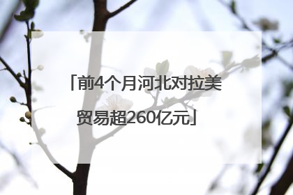 前4个月河北对拉美贸易超260亿元