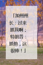 加州州长：过来抓我啊；特朗普：抓他，这很棒！