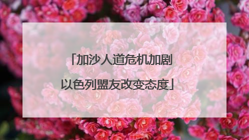 加沙人道危机加剧 以色列盟友改变态度