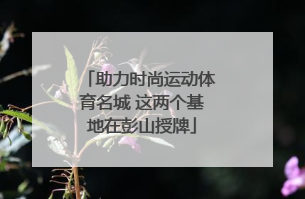 助力时尚运动体育名城 这两个基地在彭山授牌