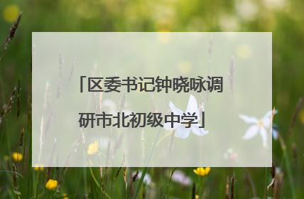 区委书记钟晓咏调研市北初级中学