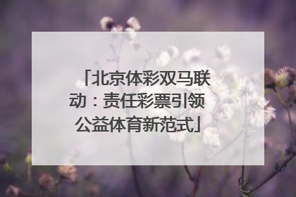 北京体彩双马联动：责任彩票引领公益体育新范式
