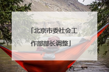 北京市委社会工作部部长调整