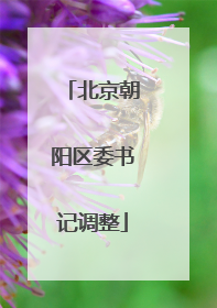 北京朝阳区委书记调整