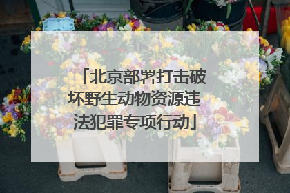 北京部署打击破坏野生动物资源违法犯罪专项行动