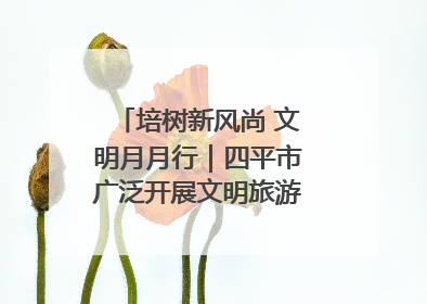 培树新风尚 文明月月行｜四平市广泛开展文明旅游主题实践活动