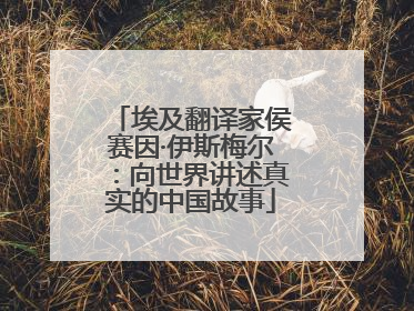 埃及翻译家侯赛因·伊斯梅尔：向世界讲述真实的中国故事