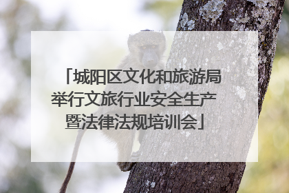 城阳区文化和旅游局举行文旅行业安全生产暨法律法规培训会