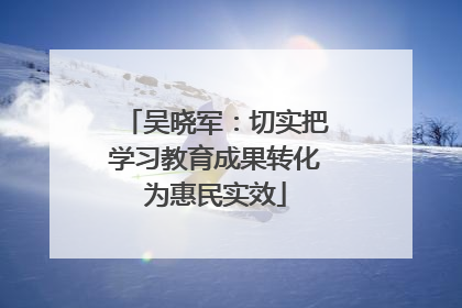吴晓军：切实把学习教育成果转化为惠民实效