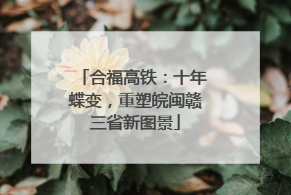 合福高铁：十年蝶变，重塑皖闽赣三省新图景