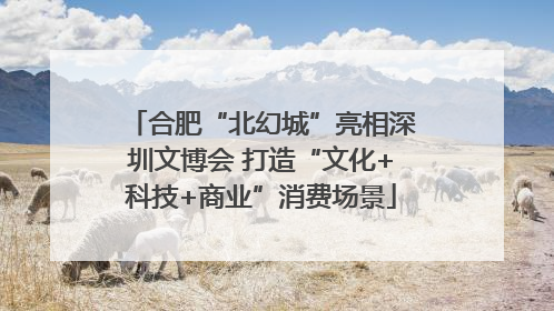 合肥“北幻城”亮相深圳文博会 打造“文化+科技+商业”消费场景