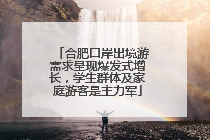 合肥口岸出境游需求呈现爆发式增长，学生群体及家庭游客是主力军