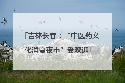 吉林长春：“中医药文化消夏夜市”受欢迎